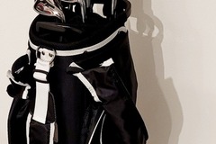 Sell with online payment: Golfbag mit Regenschutz günstig abzugeben